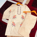 kids embroidery suit